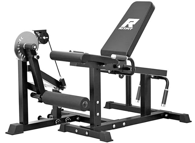 leg extension exercise