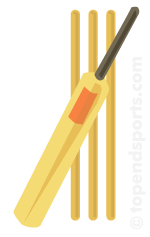 cricket bat and ball