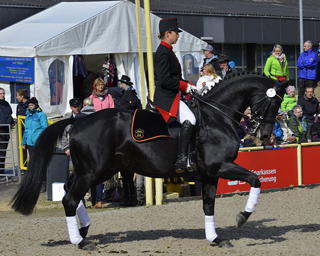 Equestrian dressage