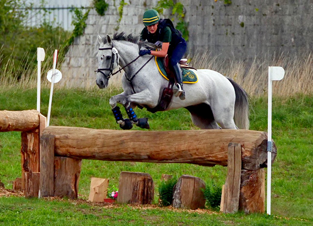 Equestrian Jump