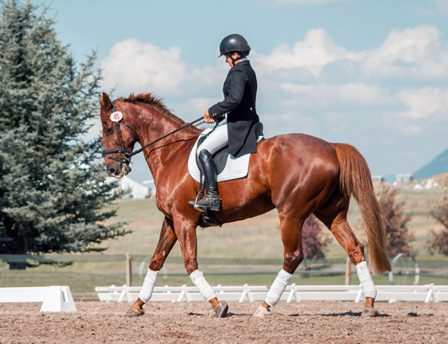 equestrian dressage