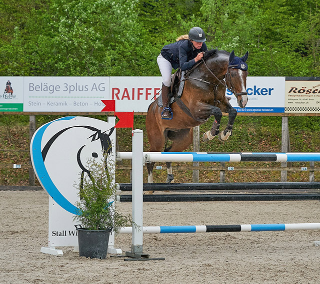 horse high jumping