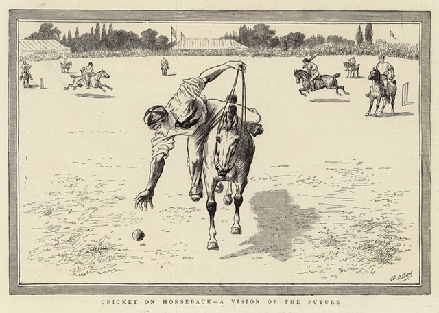 cricket on horseback
