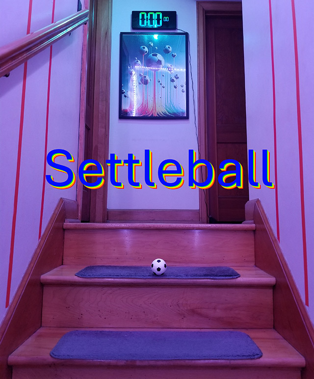 Settleball