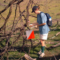 Rogaining checkpoint