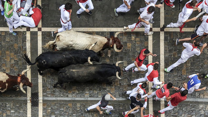 view of the running of the bulls from above