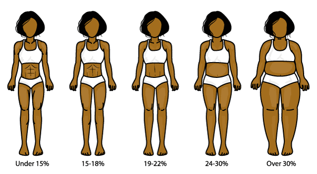 Body fat estimation using images of women showing 10% to 45% body fat
