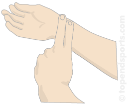 Measuring Heart Rate