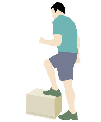 Step Test demonstration showing proper stepping technique