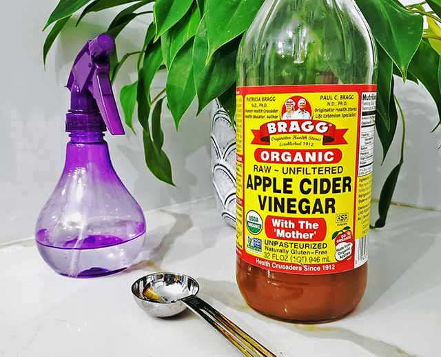 apple cider vinegar for weight loss